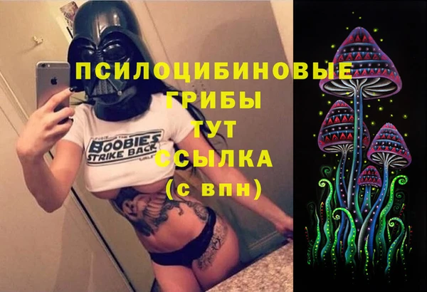 ешки Балахна